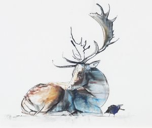 Buck and Bird, 2006