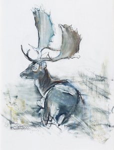 Buck in the Grass, 2006 by Mark Adlington