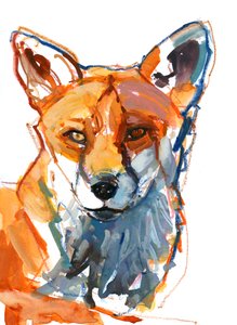Dog Fox
