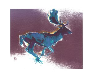 Fallow Buck (Blueyellow Shadow)