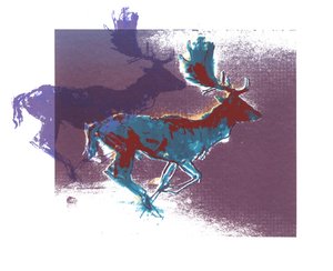 Fallow Bucks by Mark Adlington