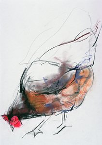 Feeding Hen, Trasierra