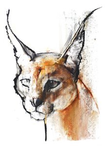 Feline (Arabian Caracal), 2009