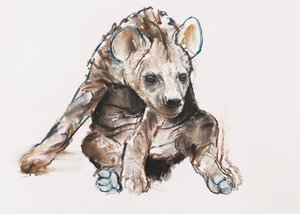 Hyaena Pup (head down) by Mark Adlington