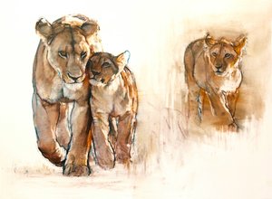 Jealous Cub