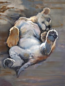 Lazy Cub