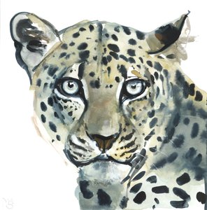 Leopard, 2015 by Mark Adlington