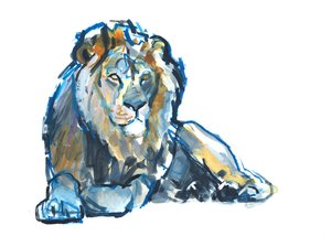 Lion, 2017