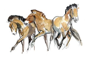 Mistral Three (Przewalski)