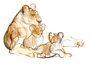 Mother by Mark Adlington