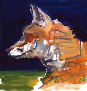 Night Profile