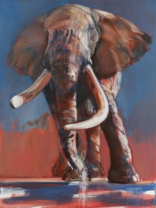 One Ton Drinking by Mark Adlington