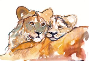 Pillow