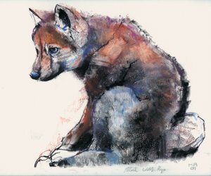 Polish Wolf Pup, 2001 by Mark Adlington