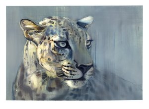 Predator II (Arabian Leopard), 2009