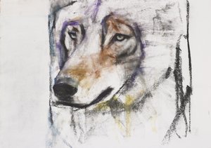 Processo Al Lupo by Mark Adlington