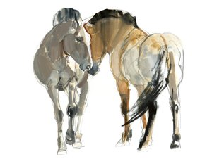 Rencontre (Przewalski)