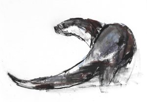 Rudder by Mark Adlington