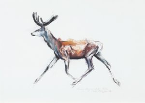 Running Stag in velvet, Polsen by Mark Adlington