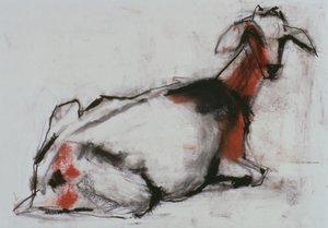 Seated Goat by Mark Adlington