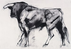 Toro Azul, study