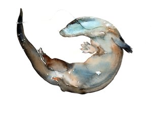 Unknown Title