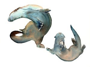 Unknown Title