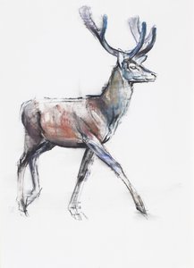 Velvet, 2006