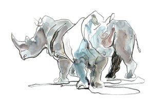 White Rhinos, Mount Etjo, 2020 by Mark Adlington