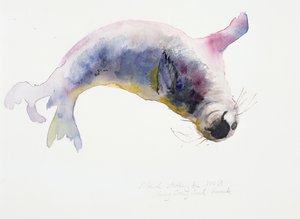 Young Grey Seal, Gweek