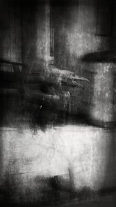 Beauty is a Witch Series Elvaston Castle - Crow