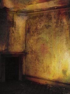 Beauty is a Witch Series Elvaston Castle - Golden Room with Fireplace