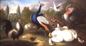A Peacock, Turkey, Hen, Cockerel and Dove by a River by Marmaduke Craddock