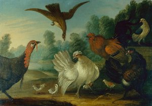 Poultry in a Landscape