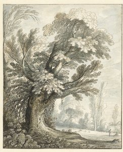 Landscape with a Tall Tree