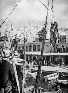 The Shipping of Mules, Syros Island, Greece, 1937 by Martin Hurlimann