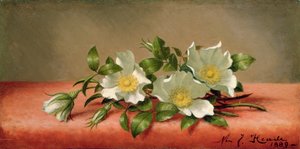 Cherokee Roses by Martin Johnson Heade