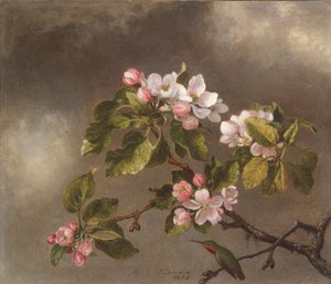 Hummingbird and Apple Blossoms