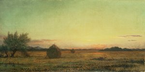 Jersey Meadows