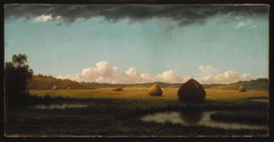 Summer Showers by Martin Johnson Heade