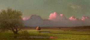 Sunlight and Shadow: The Newbury Marshes by Martin Johnson Heade