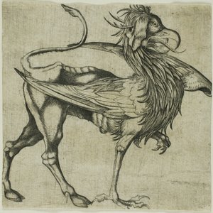 The Griffin by Martin Schongauer