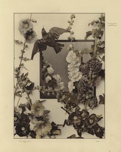 One of Martin Gerlach’s Festons und Decorative Gruppen by Martin senior Gerlach