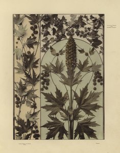 One of Martin Gerlach’s Festons und Decorative Gruppen by Martin senior Gerlach