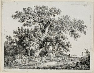 Landscape by Martin von Molitor