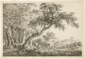 Wanderer Resting in the Forest