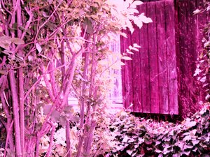 At the Garden House by Martina Konitzky