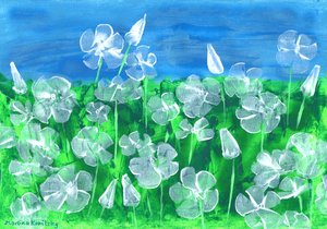 White Mallow by Martina Konitzky