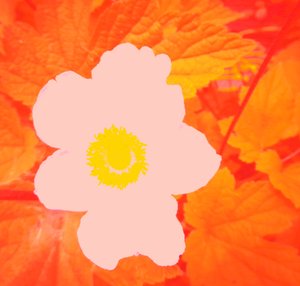 Flower (Hommage to Andy Warhol)