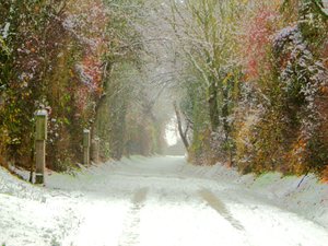 Country Road by Martina Konitzky